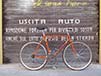 Restauro bicicletta Bianchi anni 70